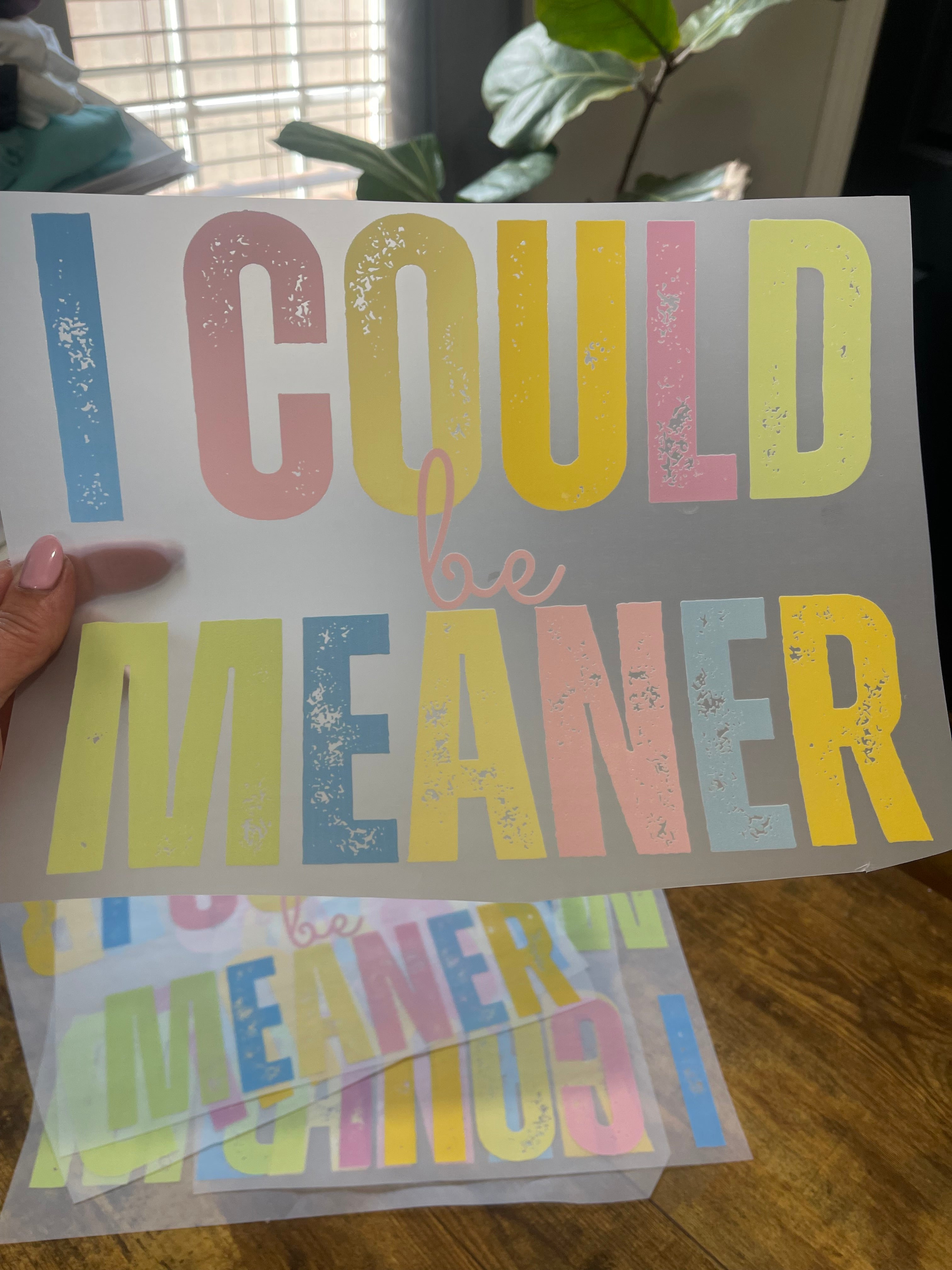 I Could Be Meaner